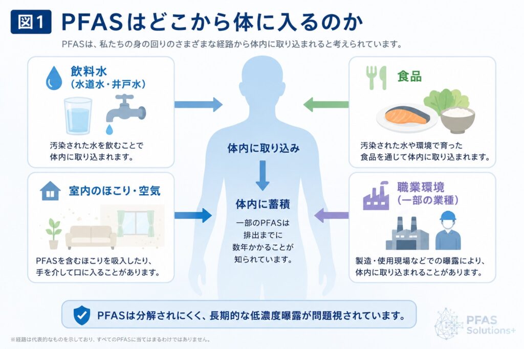 PFASはどこから体に入るのか