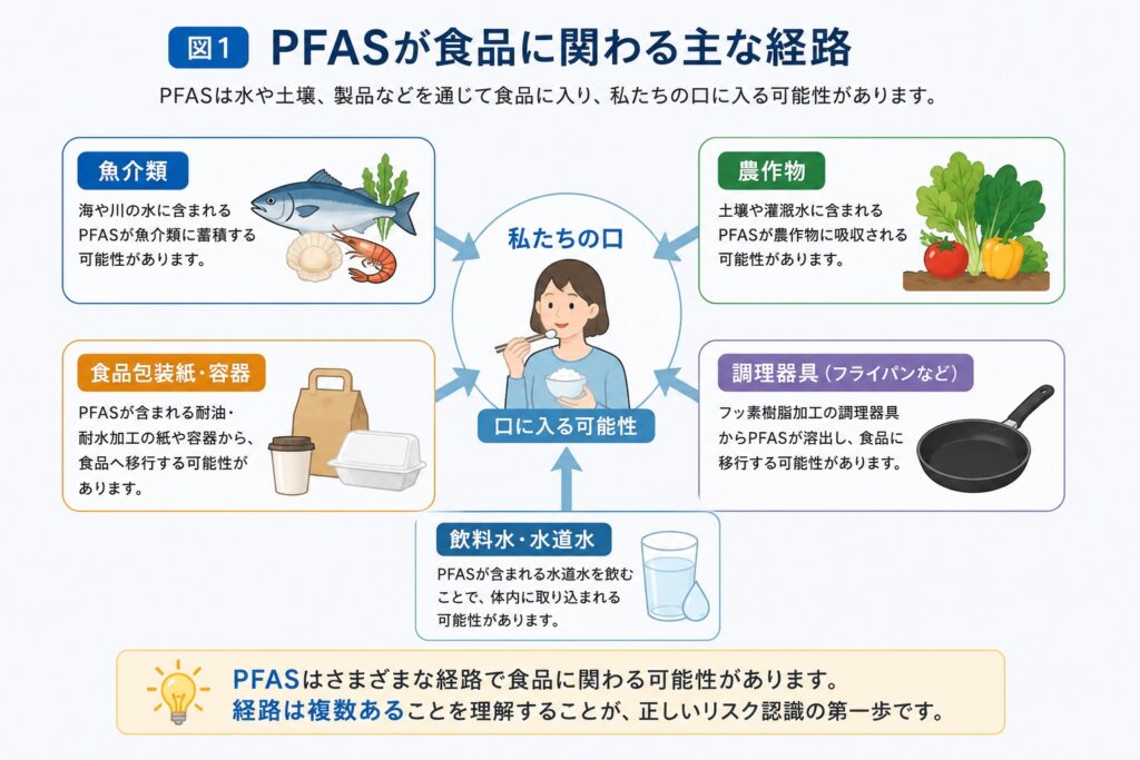 PFAS食品メ1 - PFAS Solution+|PFAS規制・検査・改善対策の専門支援サイト