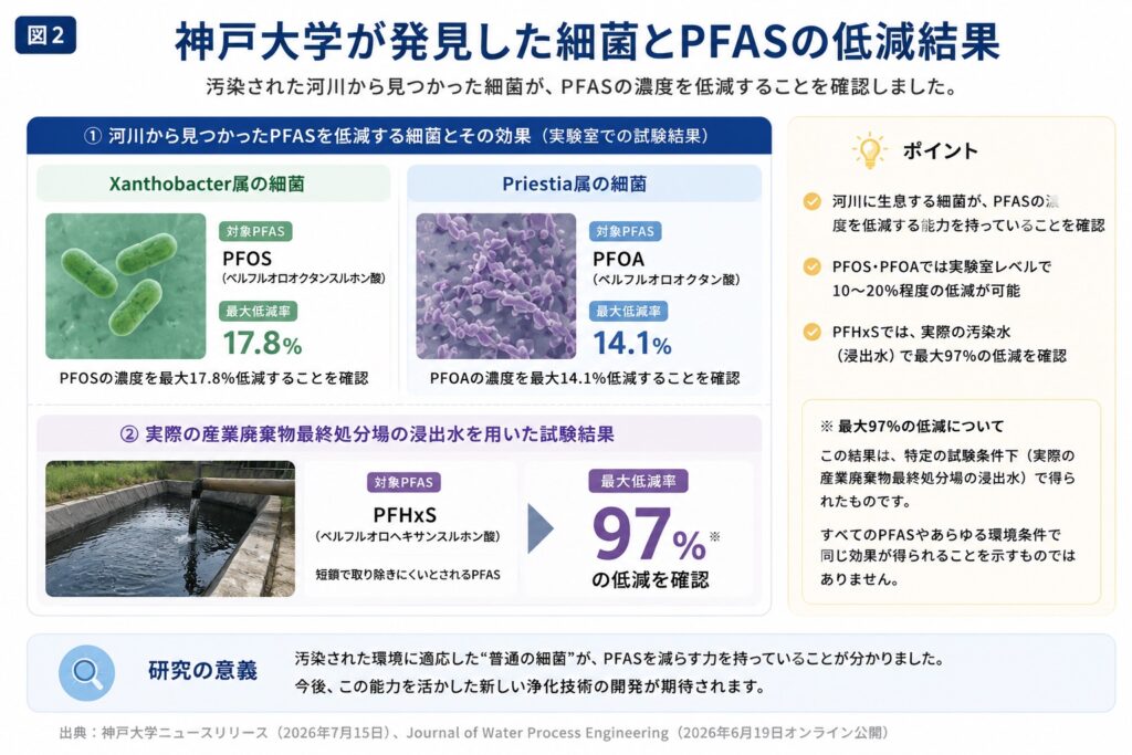 神戸大学が発見した細菌と低減結果 Xanthobacter → PFOS 最大17.8% Priestia → PFOA 最大14.1% PFHxS → 特定条件下で最大97%低減