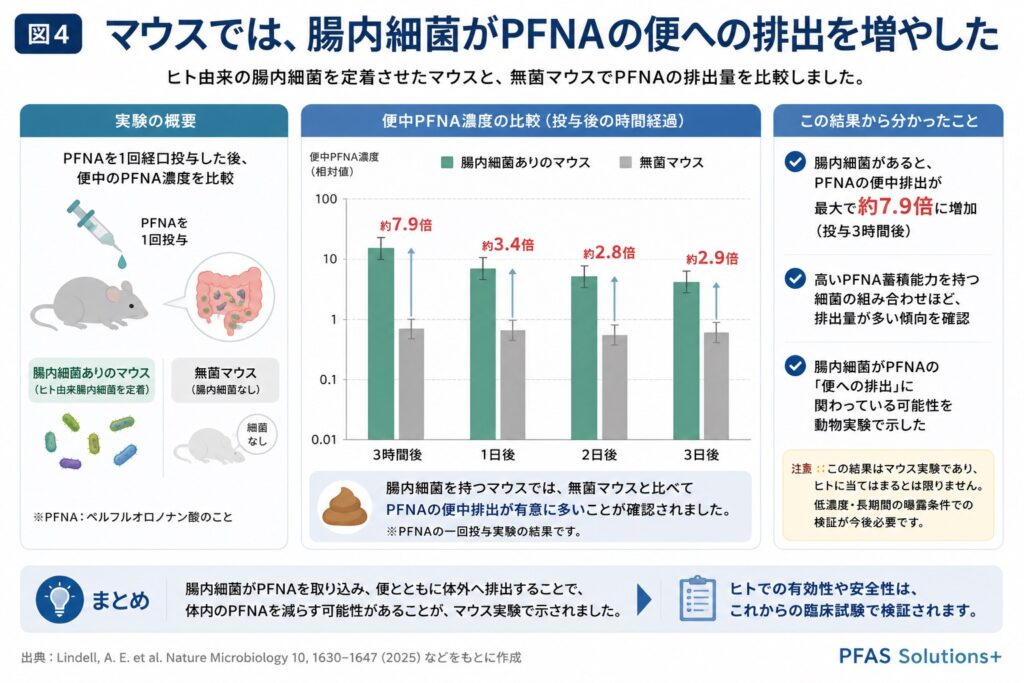 マウスでは便中排出が増えた