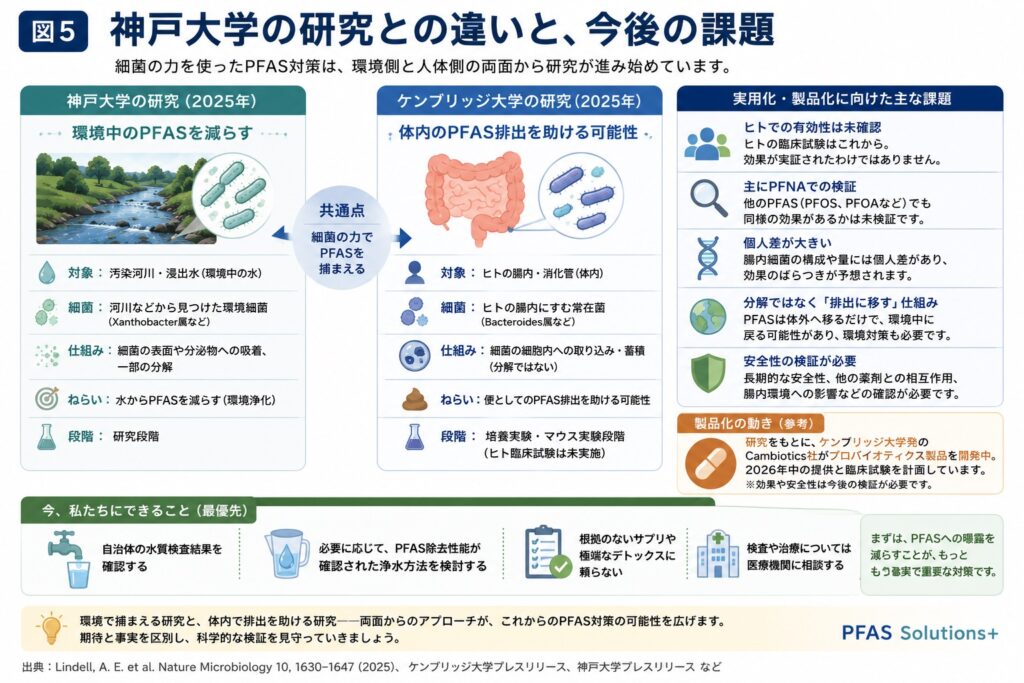 神戸大学の研究との違い・今後の課題