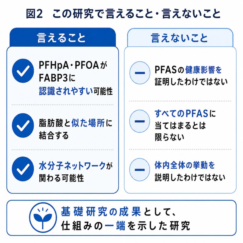 言えること ・PFHpA・PFOAがFABP3に認識されやすい可能性 ・脂肪酸と似た場所に結合する