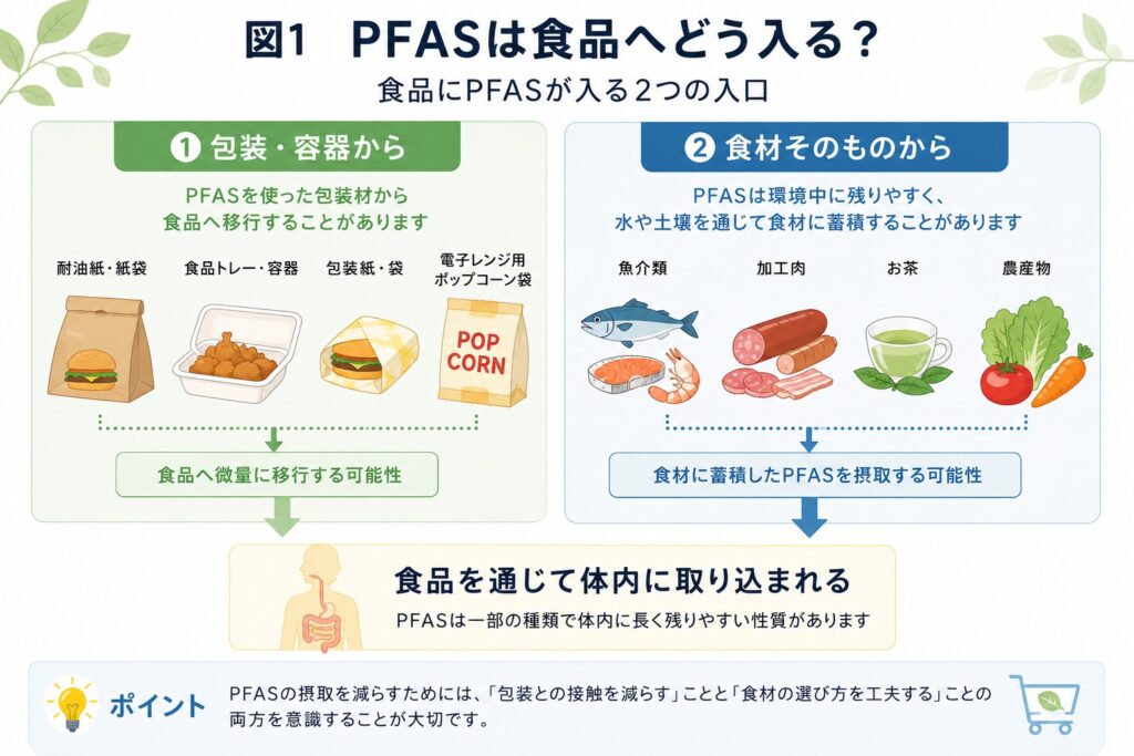PFASは食品からどう体に入る？