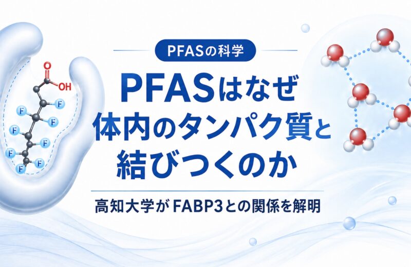PFASはなぜ体内のタンパク質と結びつくのか ｜高知大学が「認識されやすさ」の構造的背景を解明