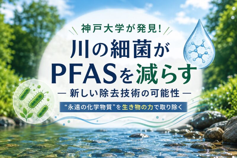 神戸大学が発見｜川の細菌がPFASを減らす仕組みとは？新しい除去技術の可能性を解説