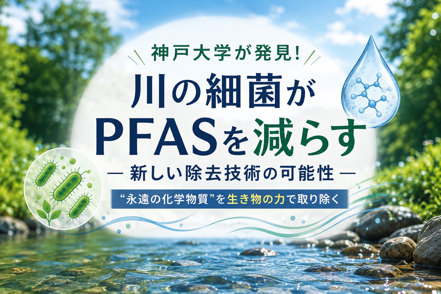 神戸大学が発見|川の細菌がPFASを減らす仕組みとは?新しい除去技術の可能性を解説