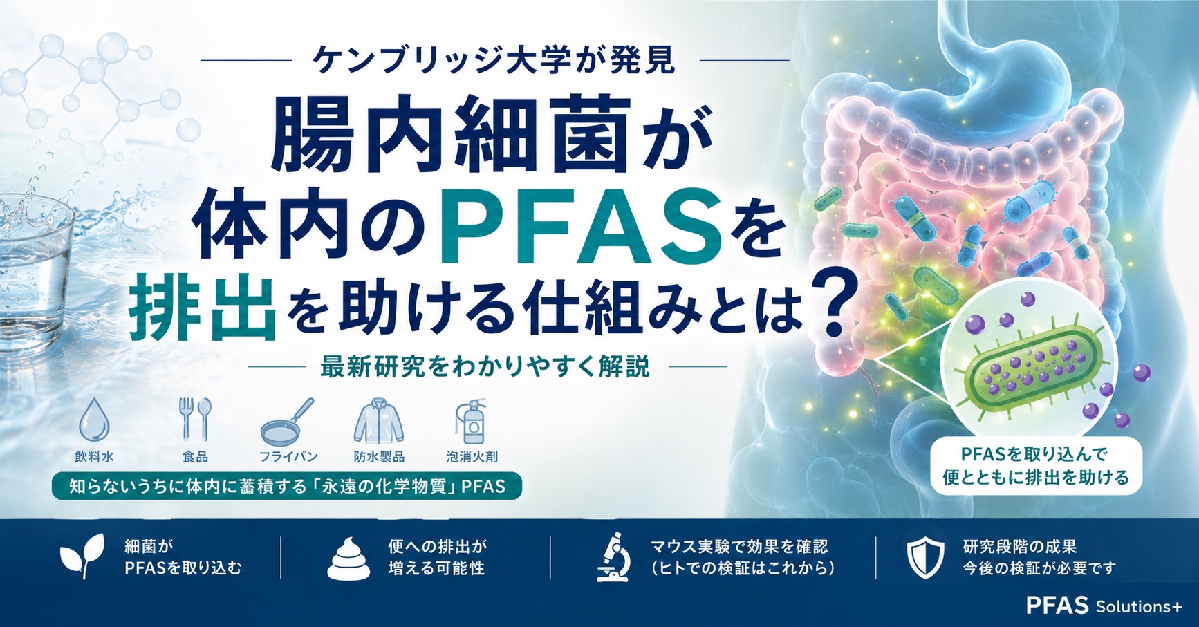 ケンブリッジ大学が発見｜腸内細菌が体内のPFAS排出を助ける可能性とは？最新研究をわかりやすく解説