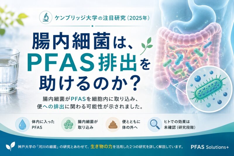 ケンブリッジ大学の注目研究｜腸内細菌はPFAS排出を助けるのか？